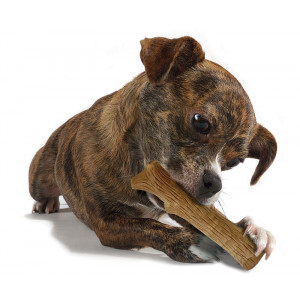 Petstages Dogwood Stick voor honden
