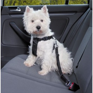 Wandel- en Autoharnas met Gordel voor de hond