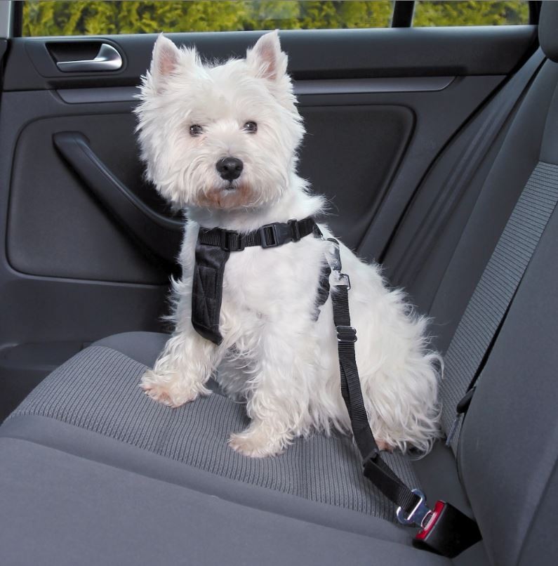Wandel- en Autoharnas met Gordel voor de hond