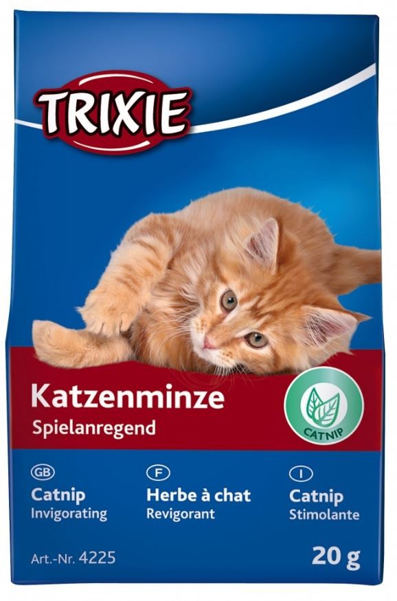 Catnip voor de kat