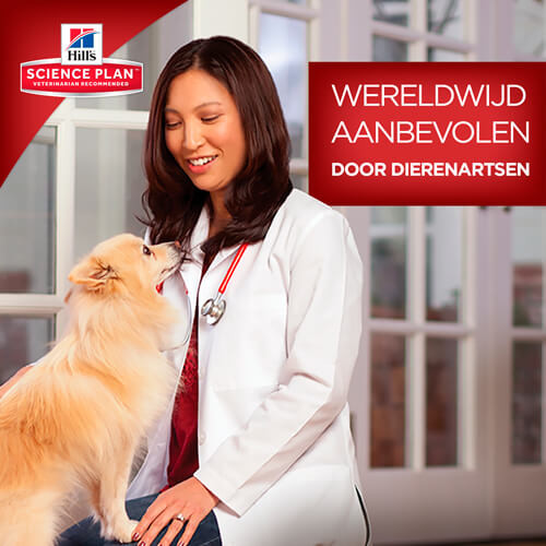 Hill's Adult Perfect Weight nat hondenvoer met kip en groenten blik
