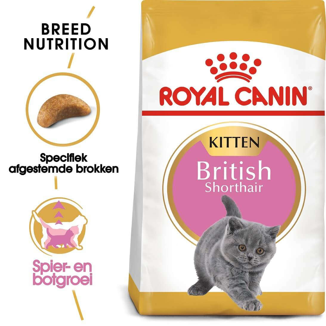 Royal Canin Kitten British Shorthair kattenvoer