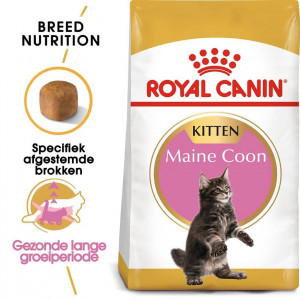 Aan boord Zelden Voorschrijven Royal Canin Kitten Maine Coon kattenvoer - Snel en Makkelijk Bestellen