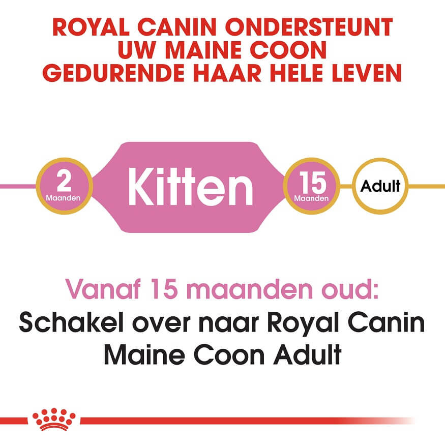 Royal Canin Kitten Maine Coon kattenvoer