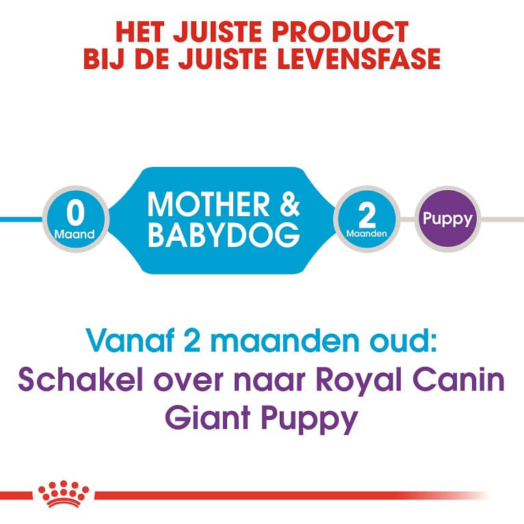 Royal Canin Giant Starter Mother and Babydog hondenvoer