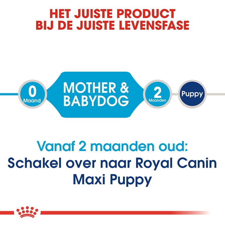 Royal Canin Maxi Starter Mother and Babydog hondenvoer