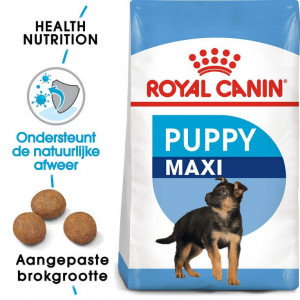 genezen zeil Calamiteit Royal Canin Maxi junior Hondenvoer online kopen?