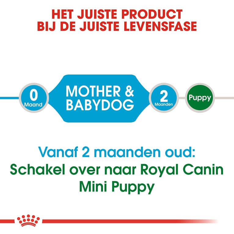 Royal Canin Mini Starter Mother and Babydog hondenvoer