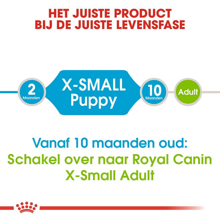 Royal Canin Mini X-Small Junior voor de hond