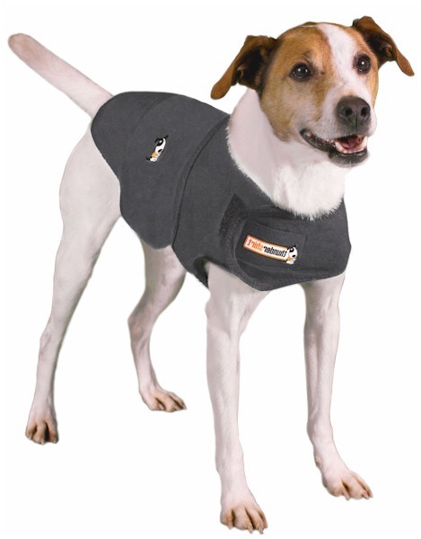 Thundershirt voor honden