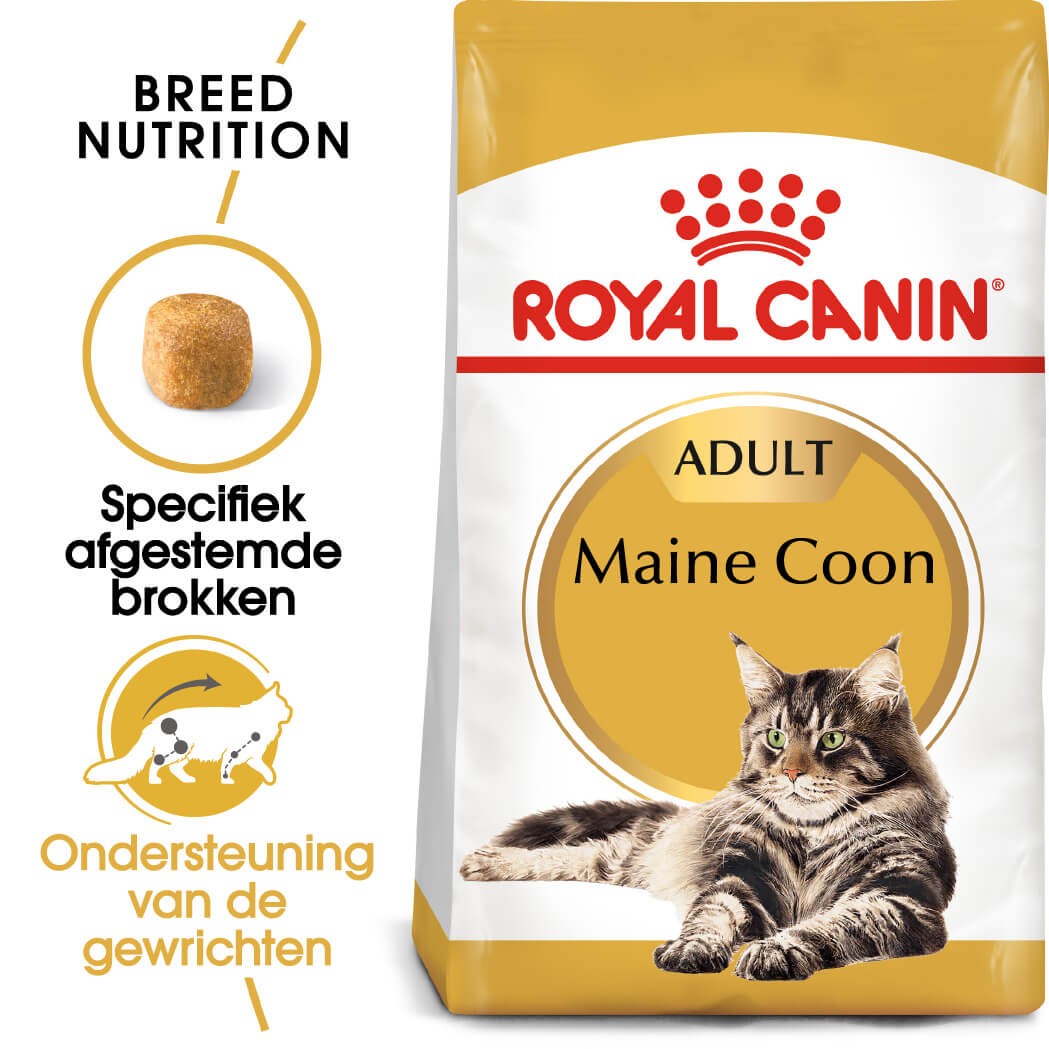 Royal Canin Adult Maine Coon kattenvoer