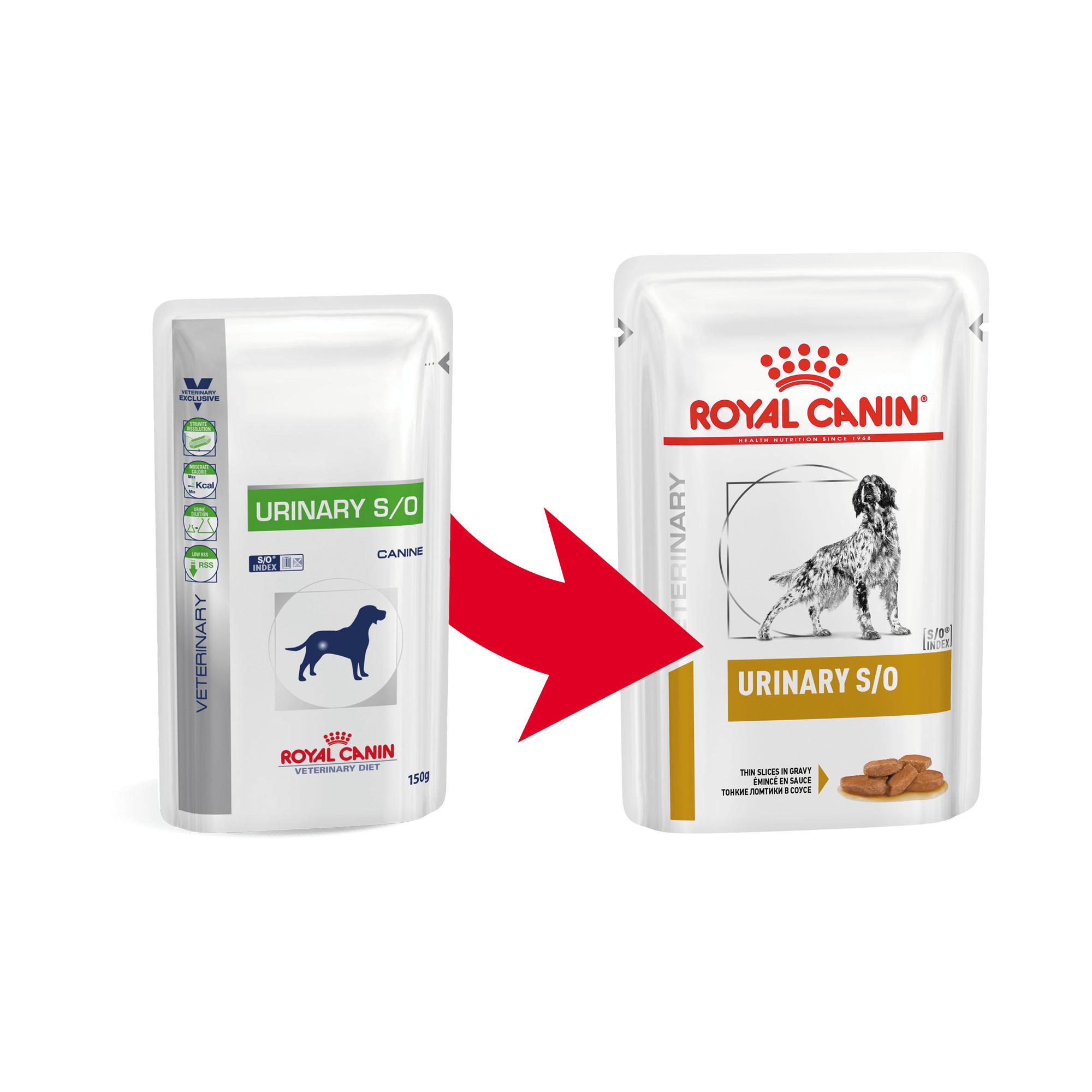Spreek uit Schema stoel Royal Canin Veterinary Urinary S/O nat hondenvoer