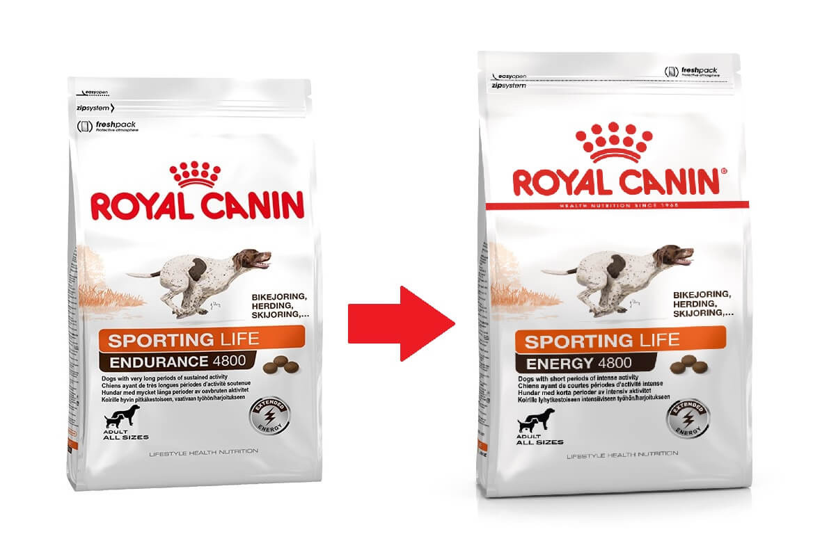 royal canin 4800 royal canin 4800