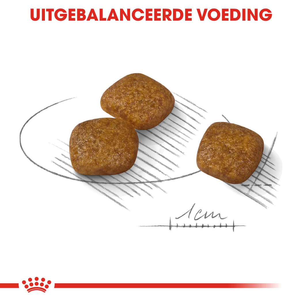 Royal Canin Urinary Care Mini Hondenvoer