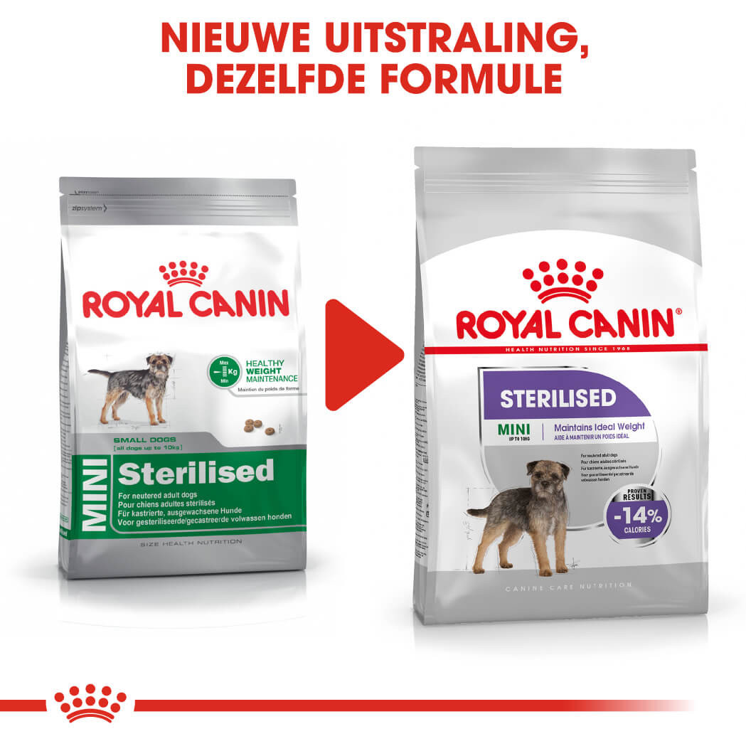 elkaar werk studie Royal Canin Mini Sterilised hondenvoer | Online bestellen