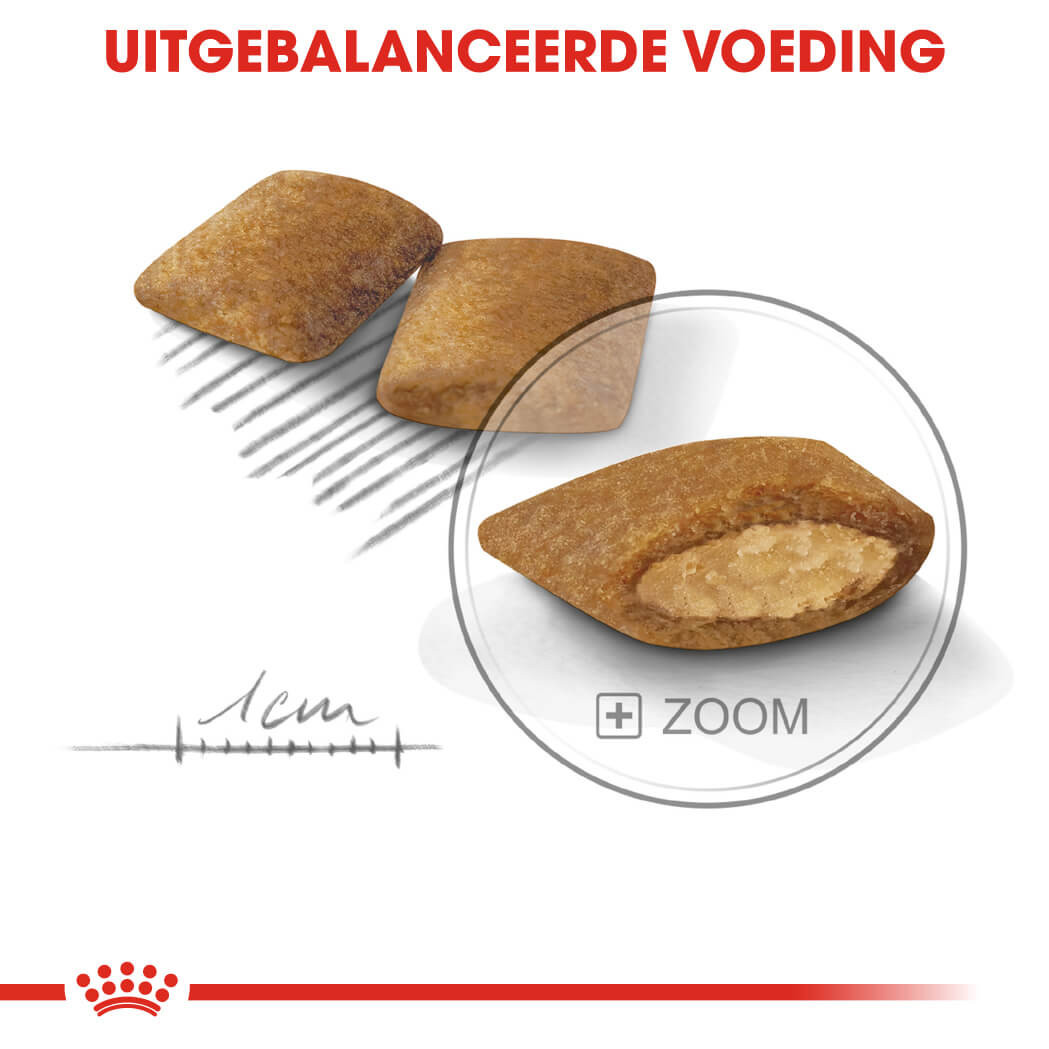 Royal Canin Mini Exigent hondenvoer