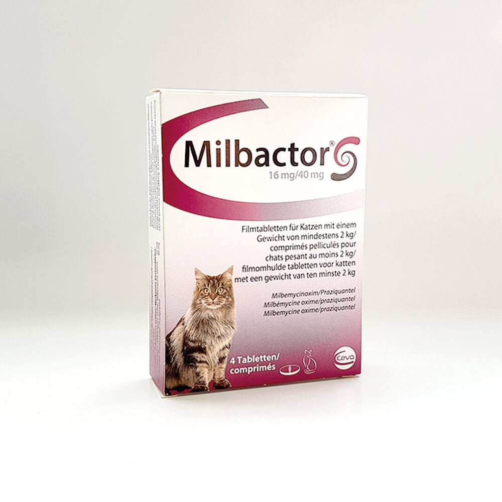 Milbactor Ontwormingsmiddel Grote Kat