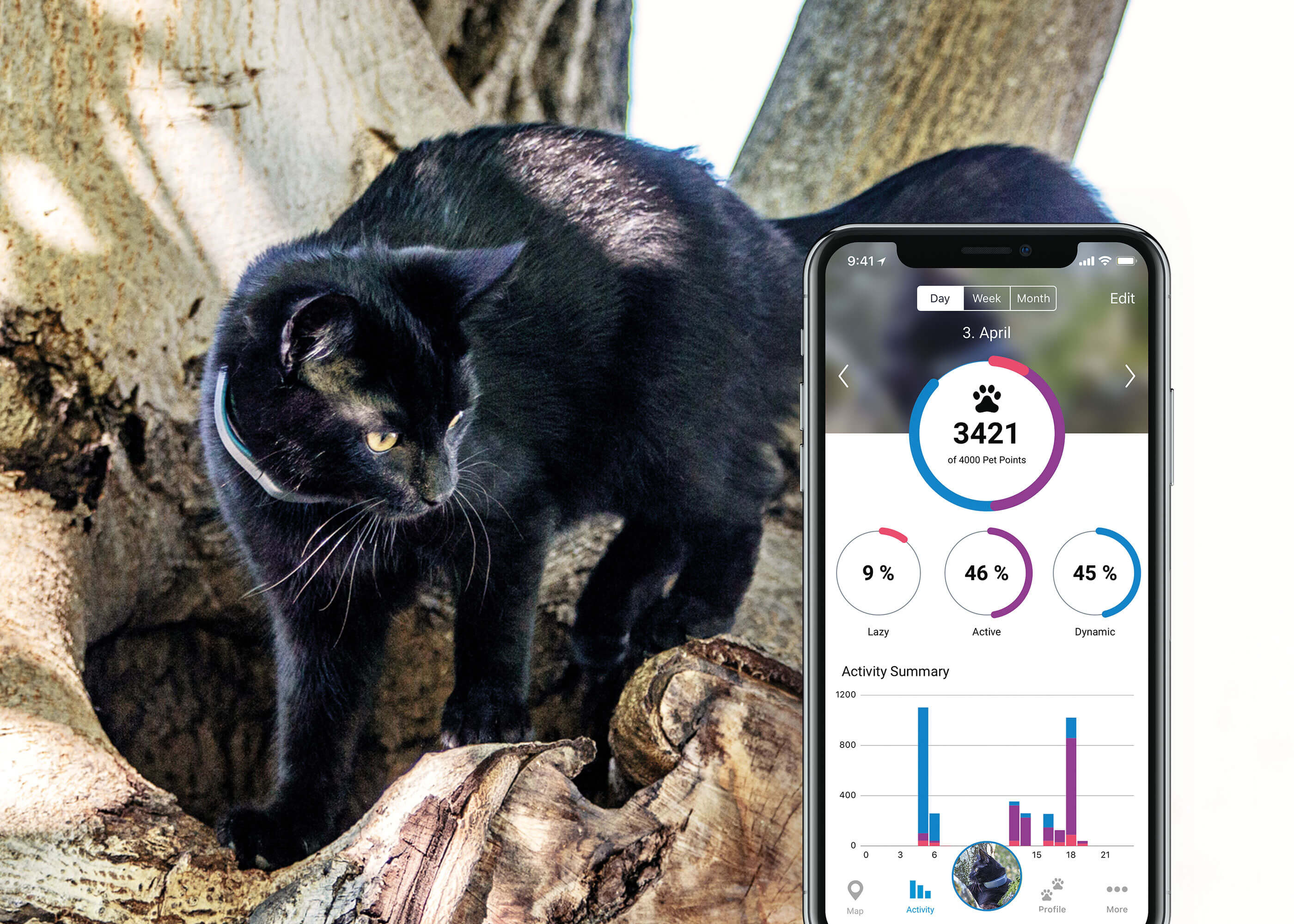 TRACTIVE GPS Tracker voor katten met acitvity monitoring