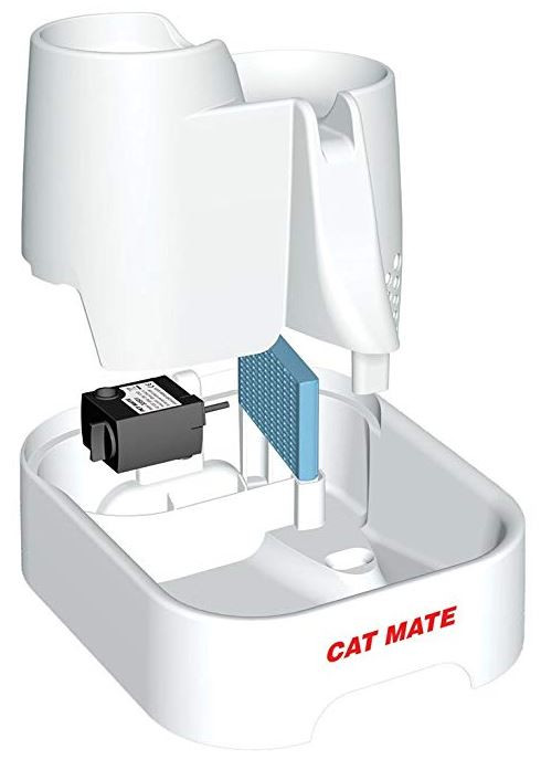 Anemoon vis foto deur Catmate Multi Level Water Fountain kat en hond