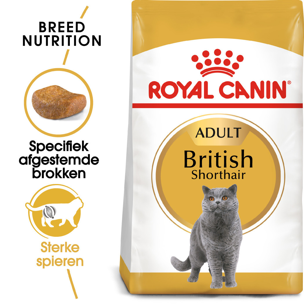 Royal Canin Adult British Shorthair kattenvoer