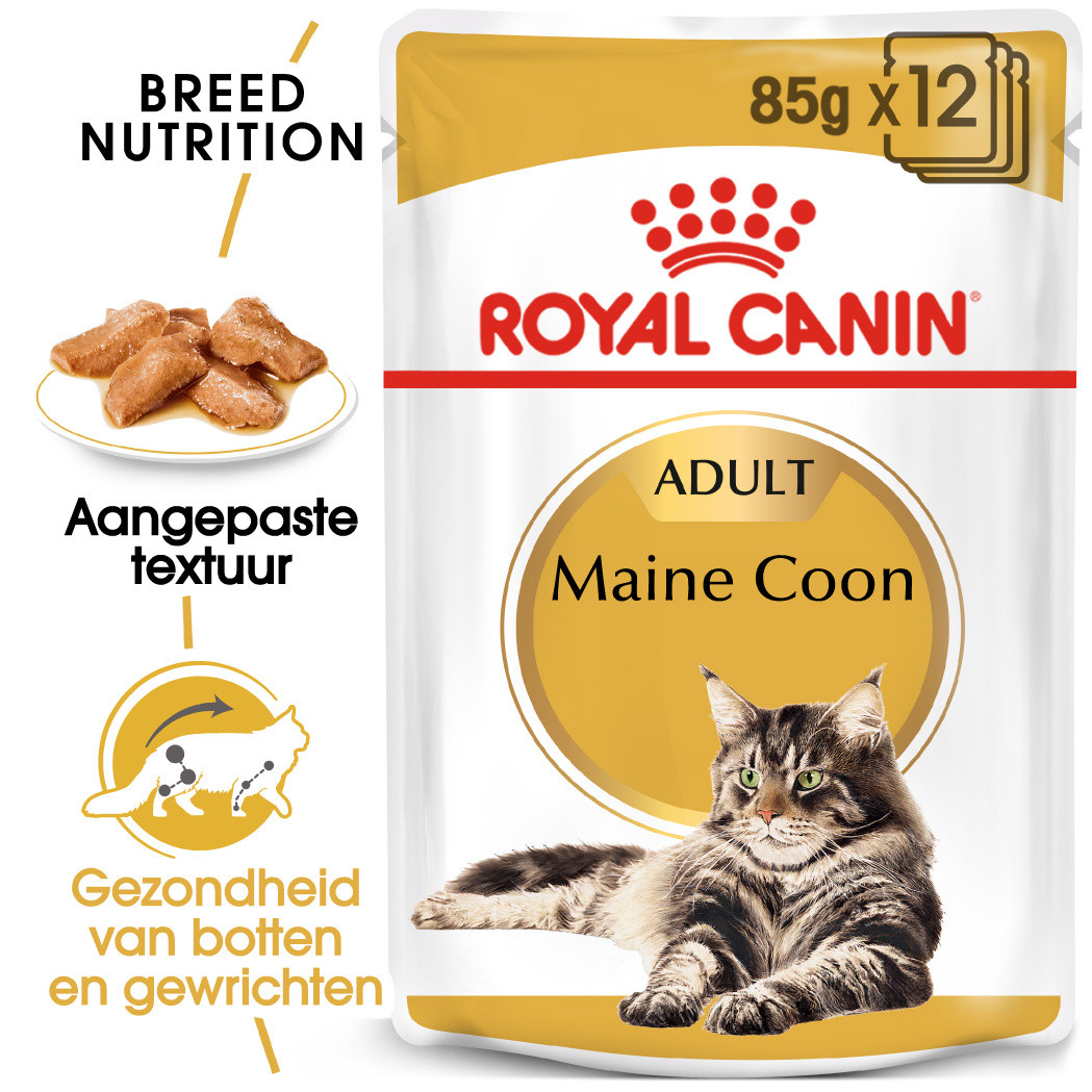 Royal Canin Maine Coon Adult Pouch