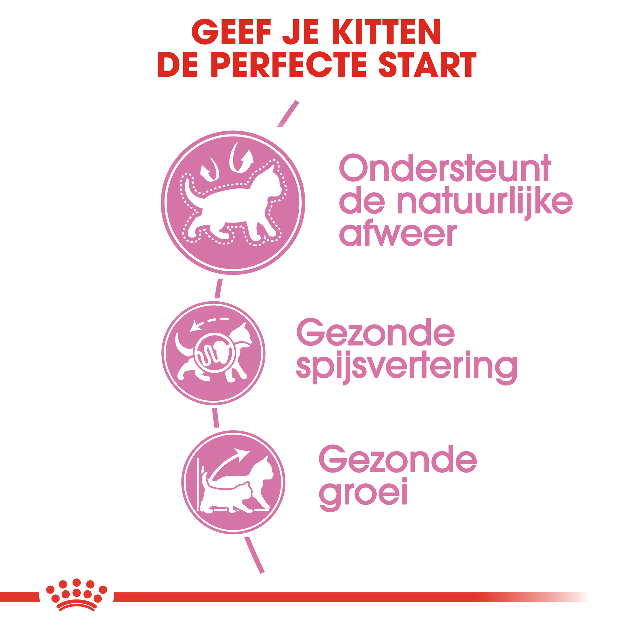 Royal Canin Kitten kattenvoer