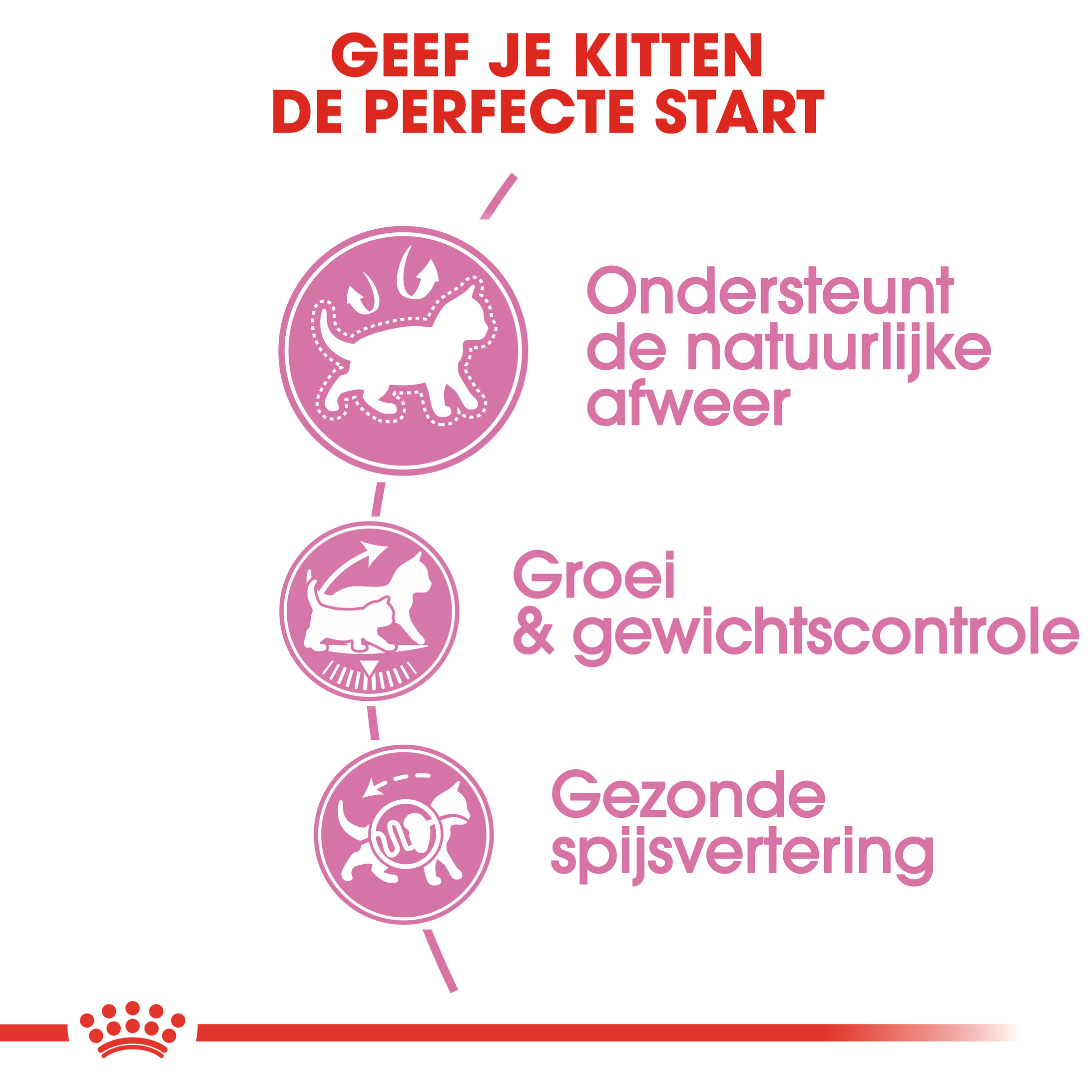 Royal Canin Kitten Sterilised kattenvoer