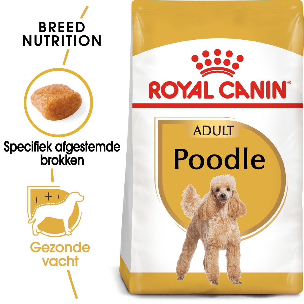 Royal Canin Adult Poodle hondenvoer
