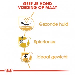 Royal Canin Adult Pug (Mopshond) hondenvoer