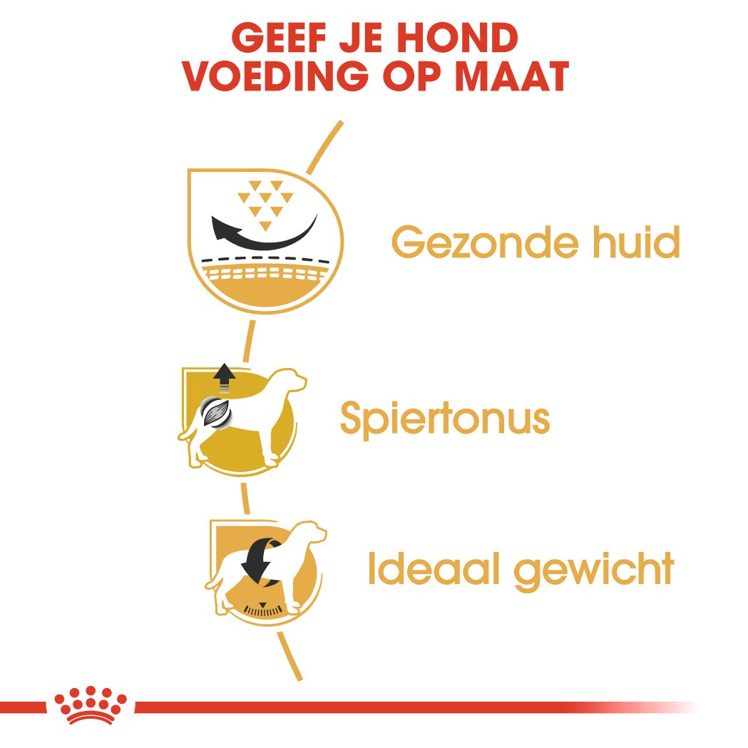 Royal Canin Adult Pug (Mopshond) hondenvoer