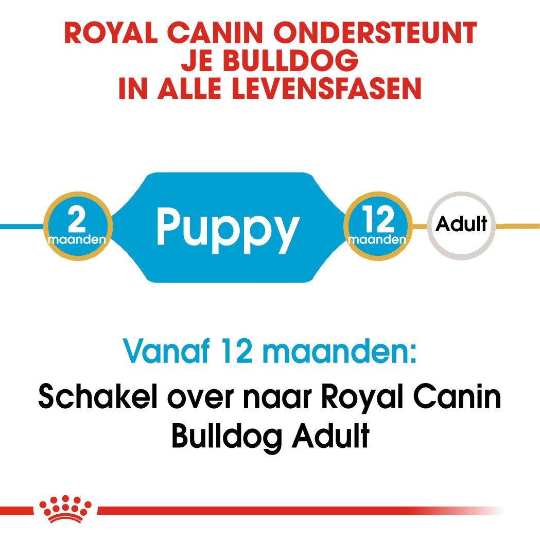 Royal Canin Puppy Bulldog hondenvoer