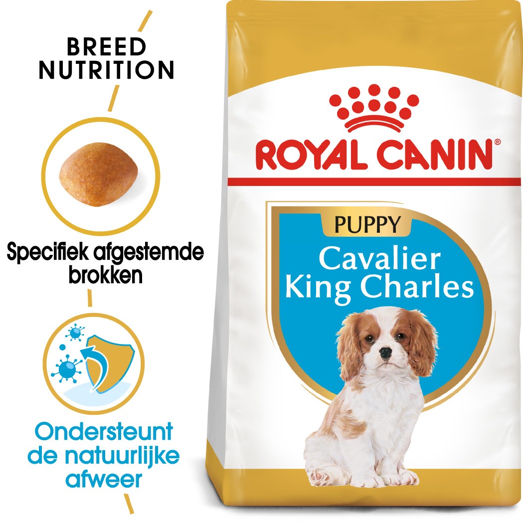 Royal Canin Puppy Cavalier King Charles hondenvoer