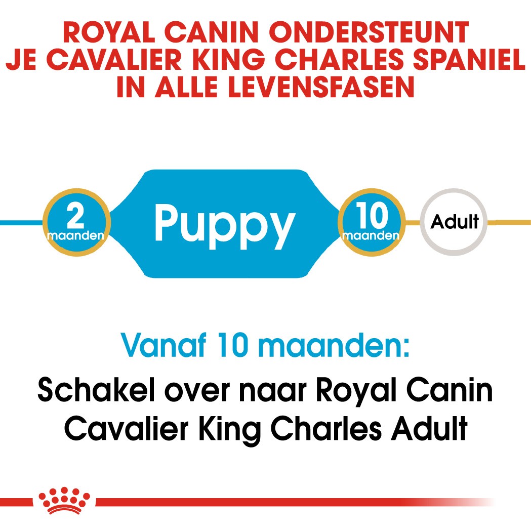 Royal Canin Puppy Cavalier King Charles hondenvoer