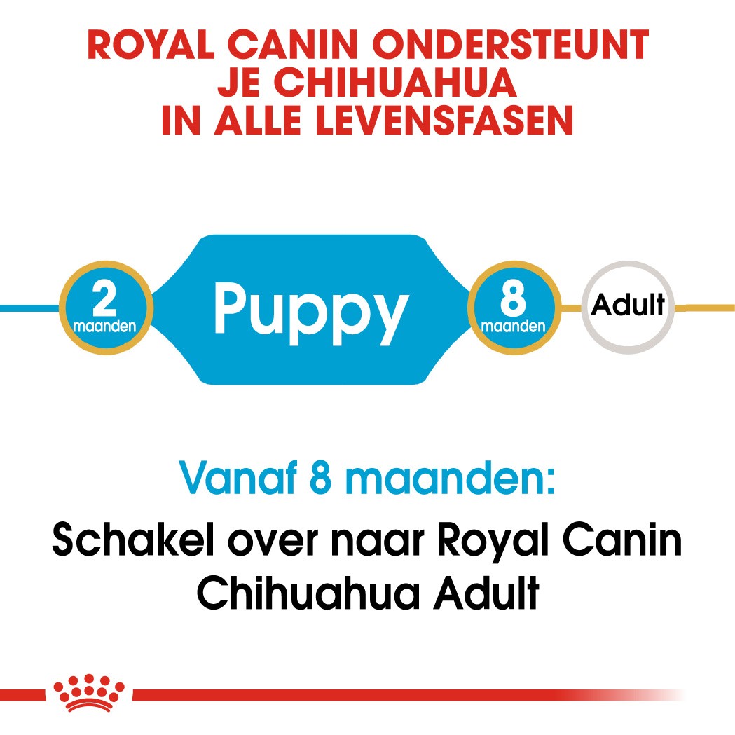 Royal Canin Puppy Chihuahua hondenvoer