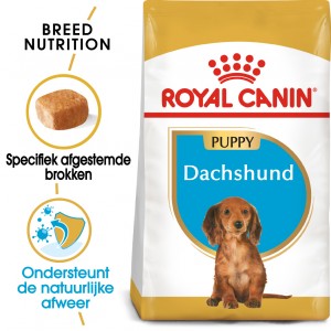 Royal Canin Puppy Dachshund (Teckel) hondenvoer