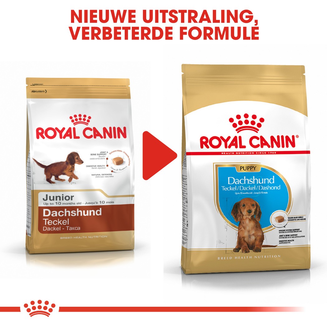 Royal Canin Dachshund Adult Wet | Dackel