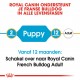 Royal Canin Puppy Franse Bulldog hondenvoer