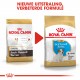 Royal Canin Puppy Jack Russell Terriër hondenvoer