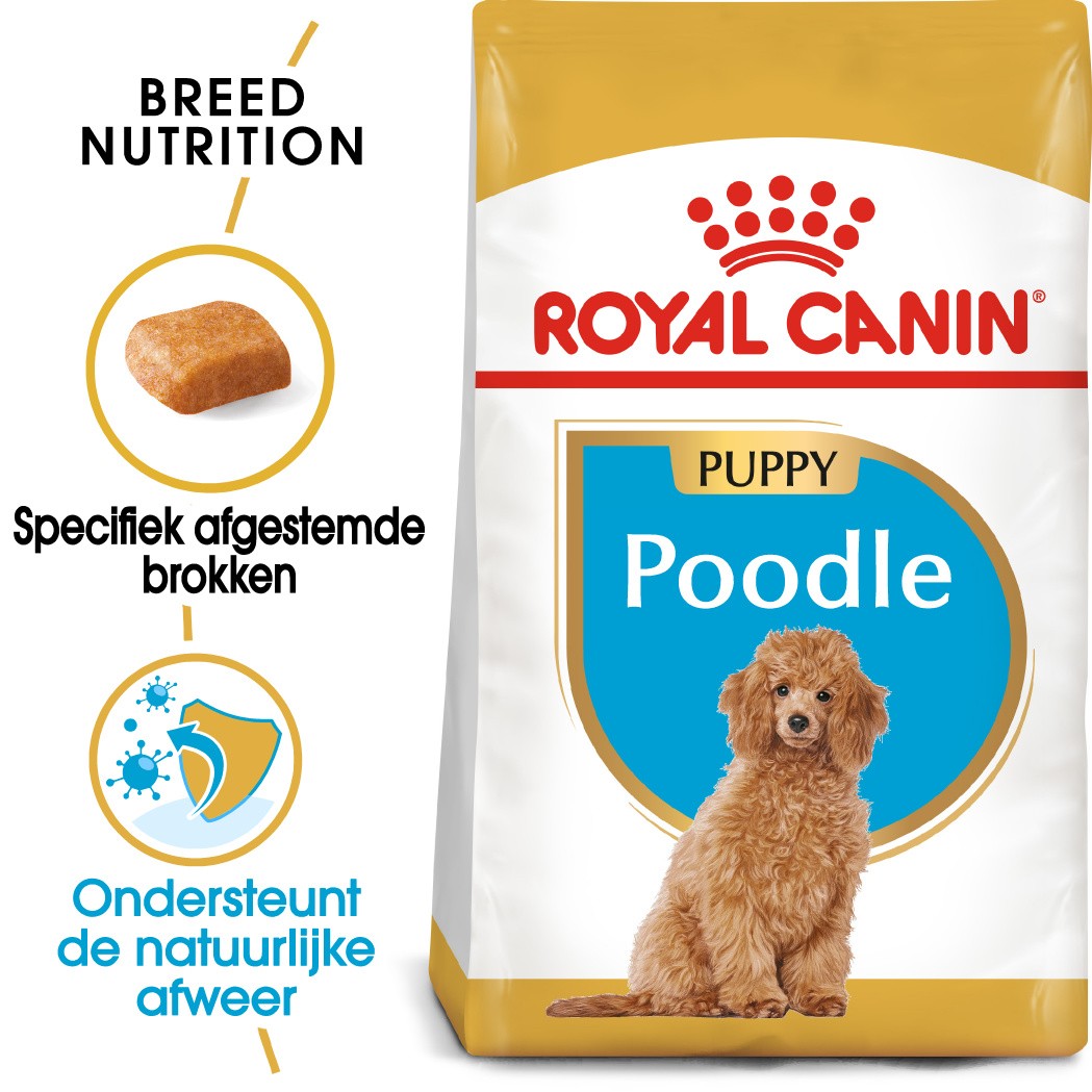 Royal Canin Poodle 33 junior hondenvoer