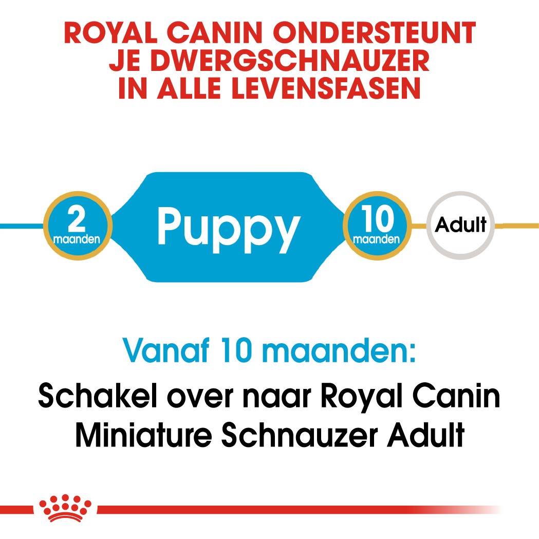 Royal Canin Miniature Schnauzer Junior Hondenvoer