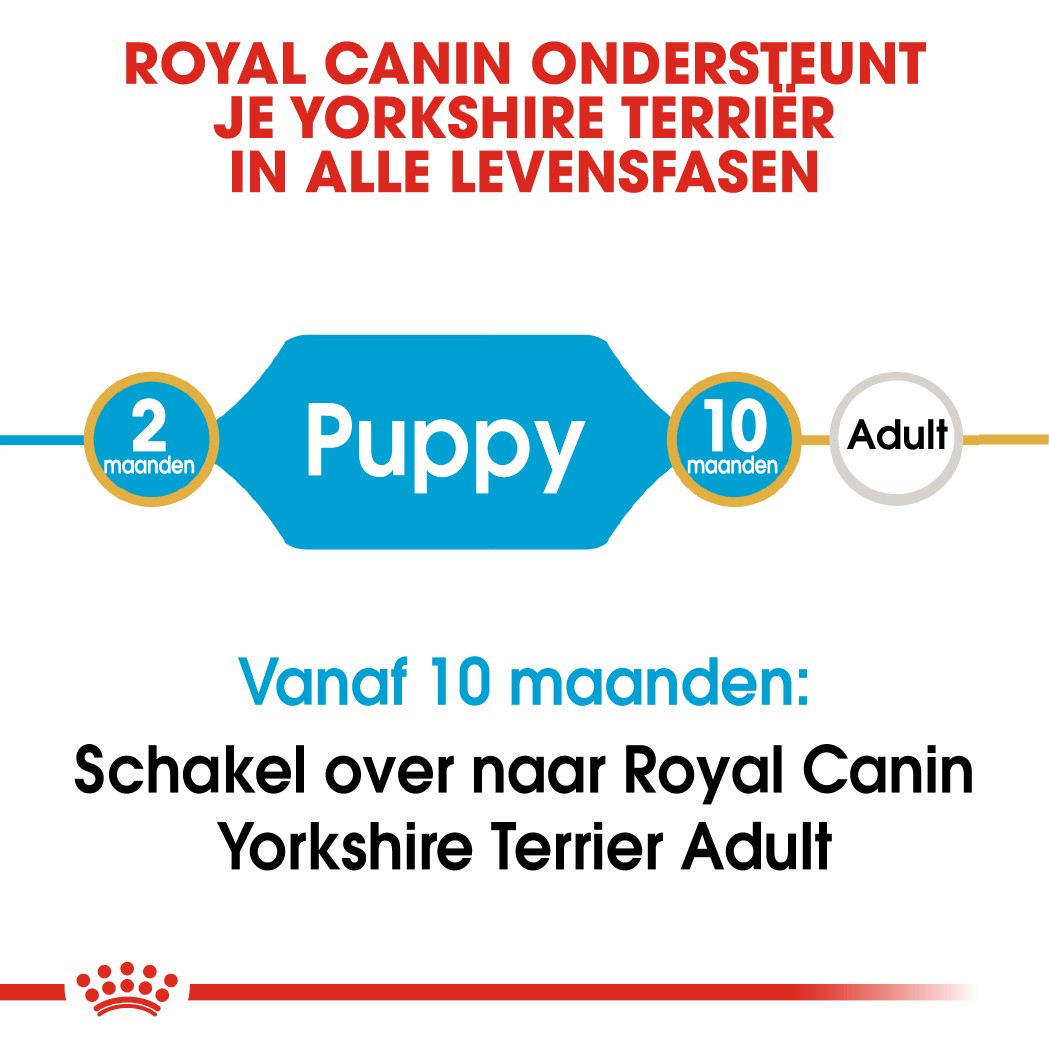 Royal Canin Puppy Yorkshire Terriër hondenvoer