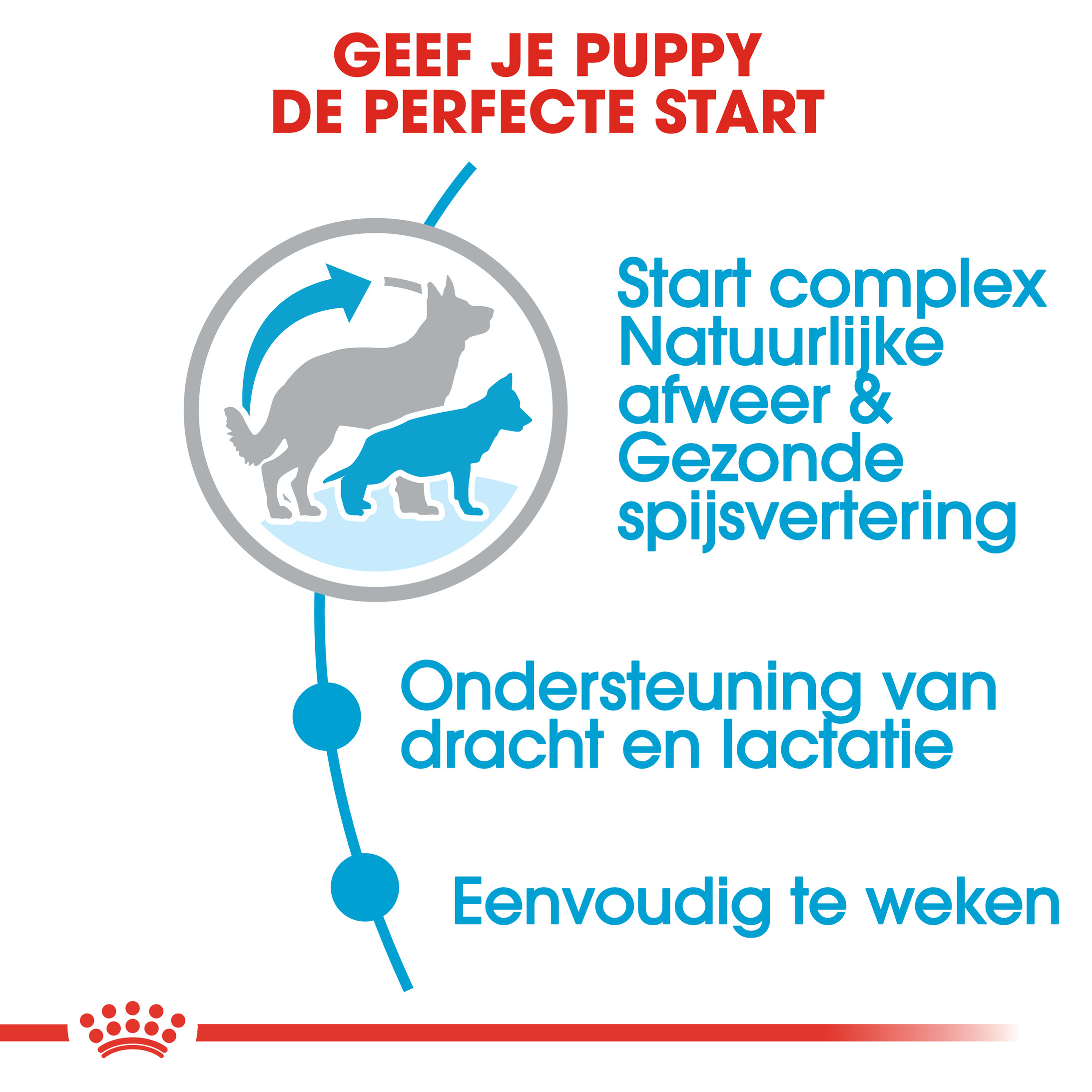 Royal Canin Maxi Starter Mother and Babydog hondenvoer