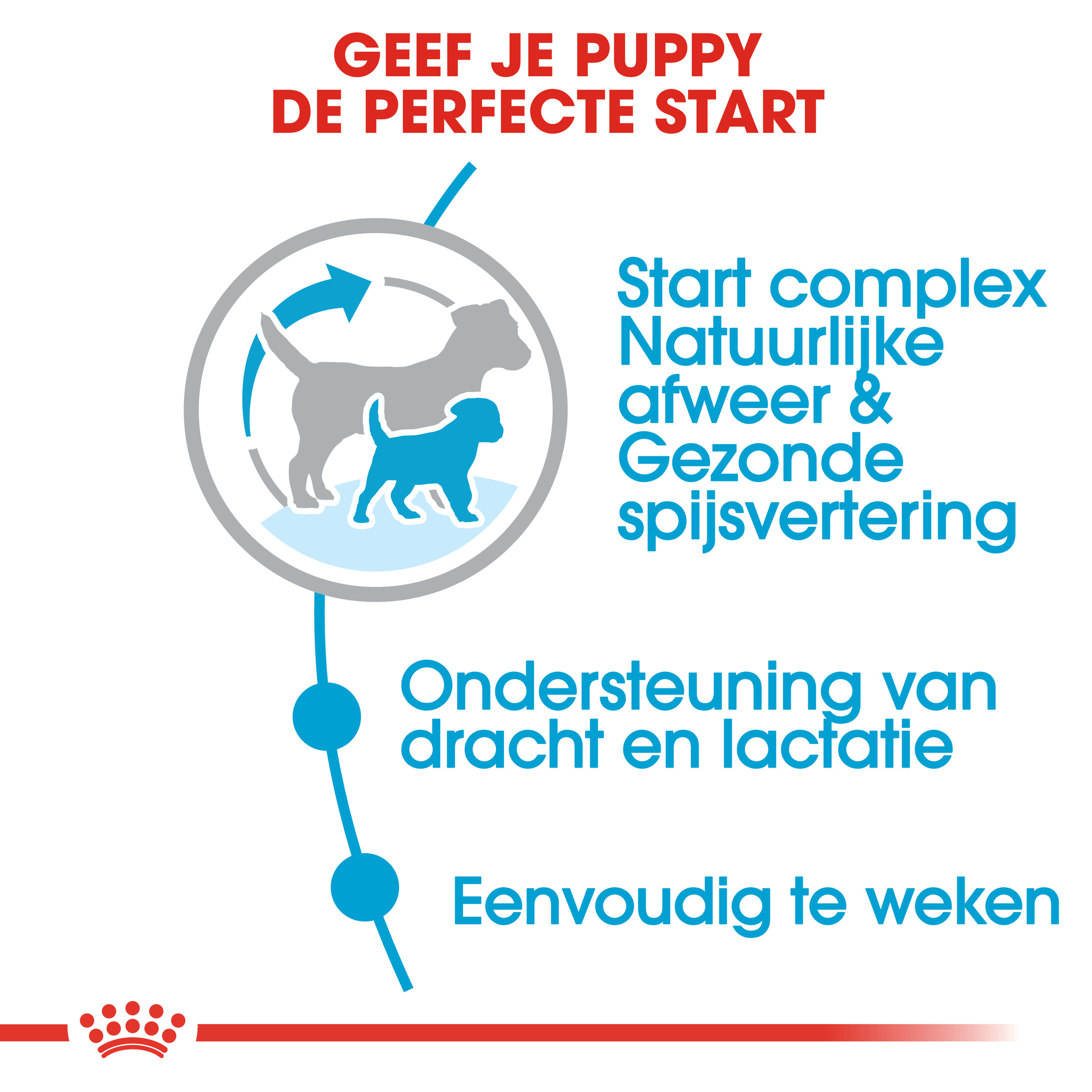 Royal Canin Mini Starter Mother and Babydog hondenvoer