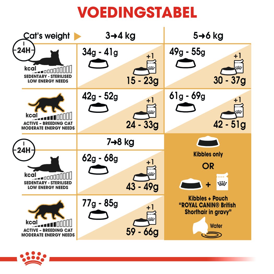 Royal Canin Adult British Shorthair kattenvoer