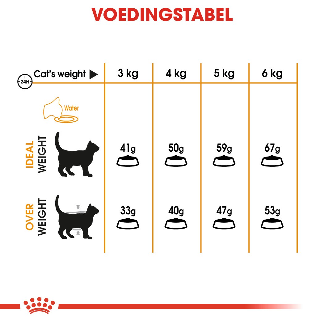 Royal Canin Hair & Skin Care kattenvoer