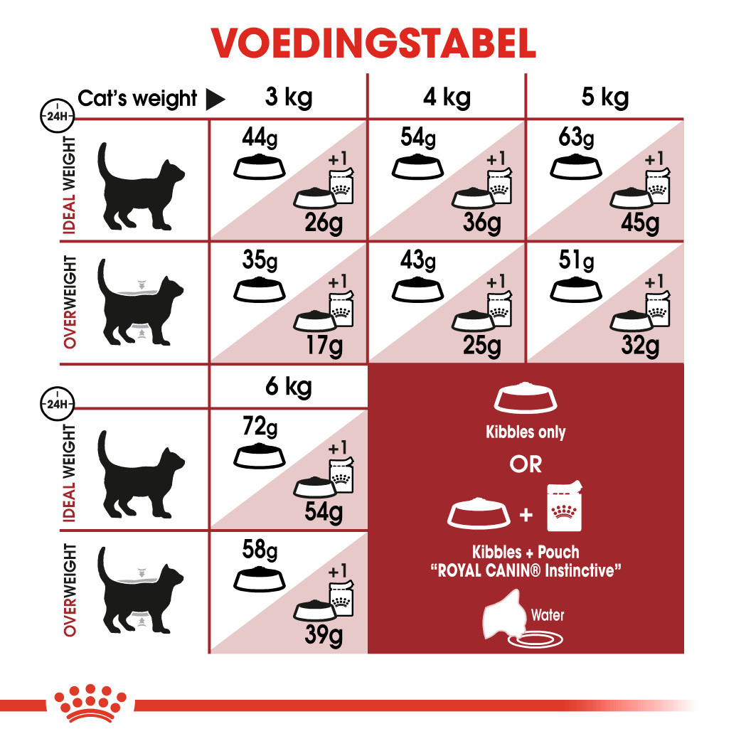 Royal Canin Fit 32 kattenvoer