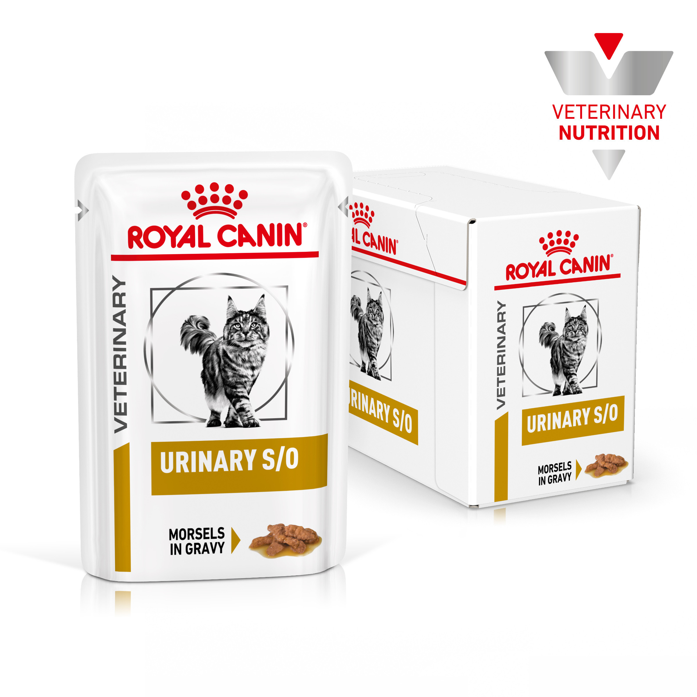 Premisse Boos worden vice versa Royal Canin Veterinary Urinary S/O Morsels in Gravy kattenvoer