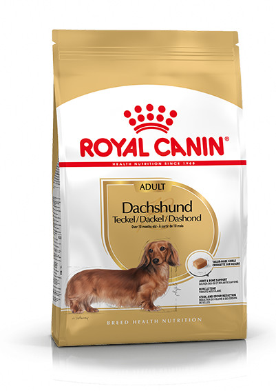 Royal Canin Adult Dachshund (Teckel) hondenvoer