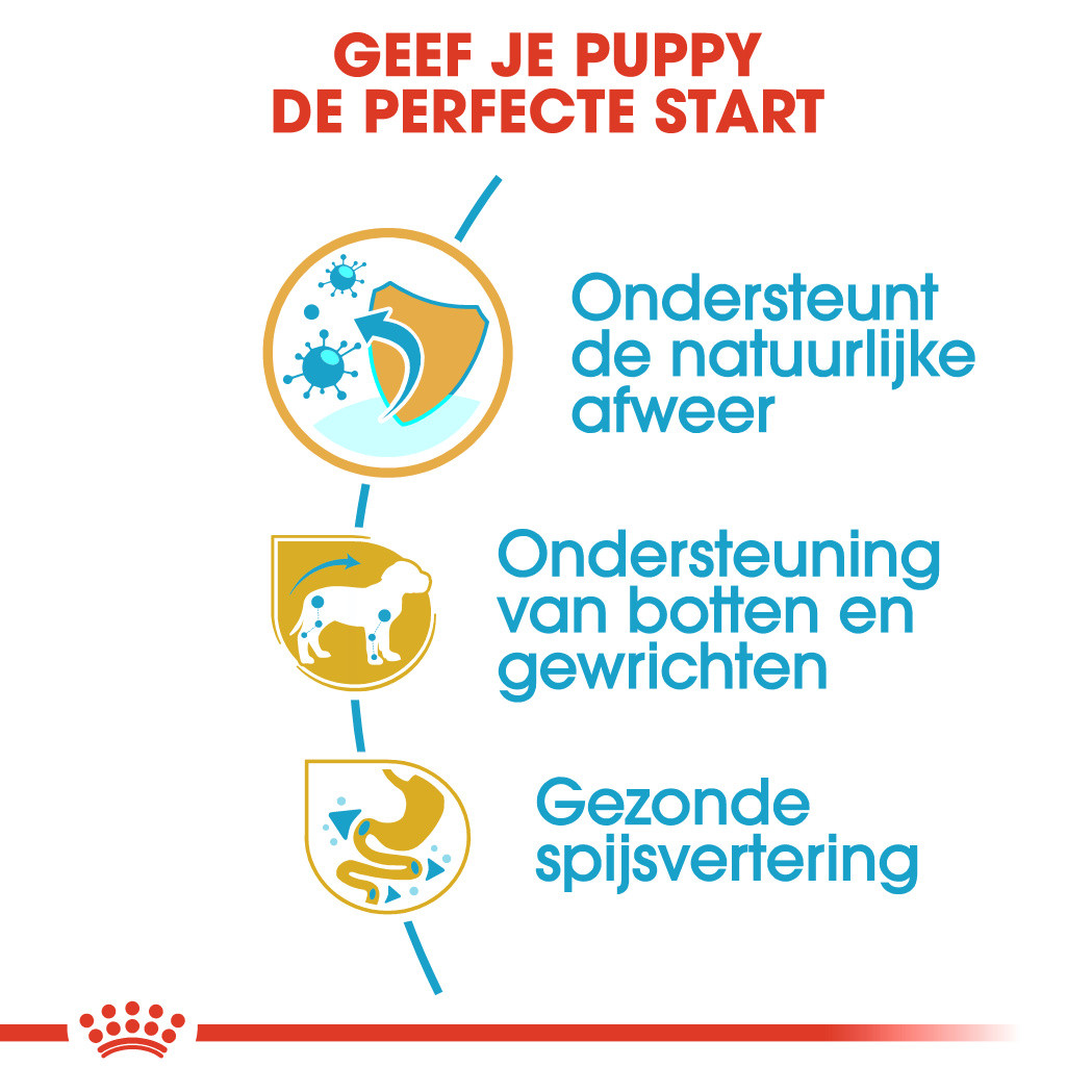 Royal Canin Puppy Dachshund (Teckel) hondenvoer