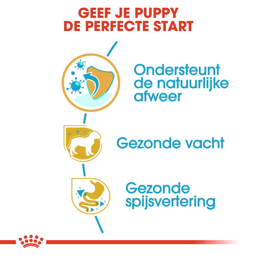 Royal Canin Puppy Yorkshire Terriër hondenvoer